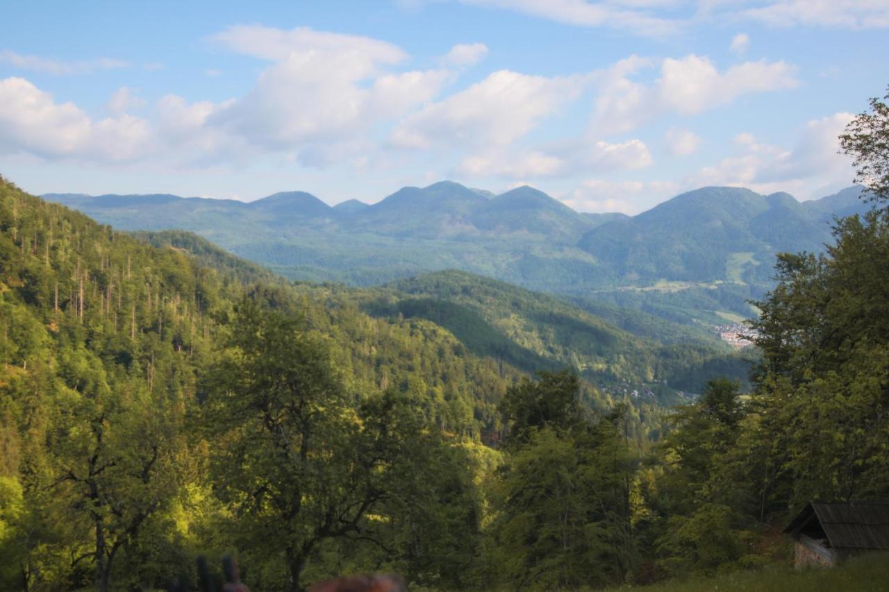 Apartma Gorski Razgled Srednja Vas v Bohinju Exterior foto